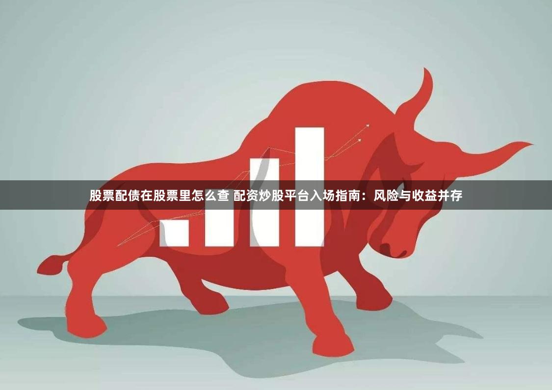 股票配债在股票里怎么查 配资炒股平台入场指南：风险与收益并存