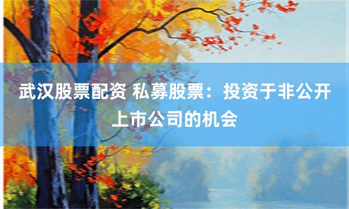 武汉股票配资 私募股票：投资于非公开上市公司的机会