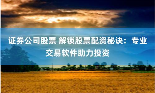 证券公司股票 解锁股票配资秘诀：专业交易软件助力投资