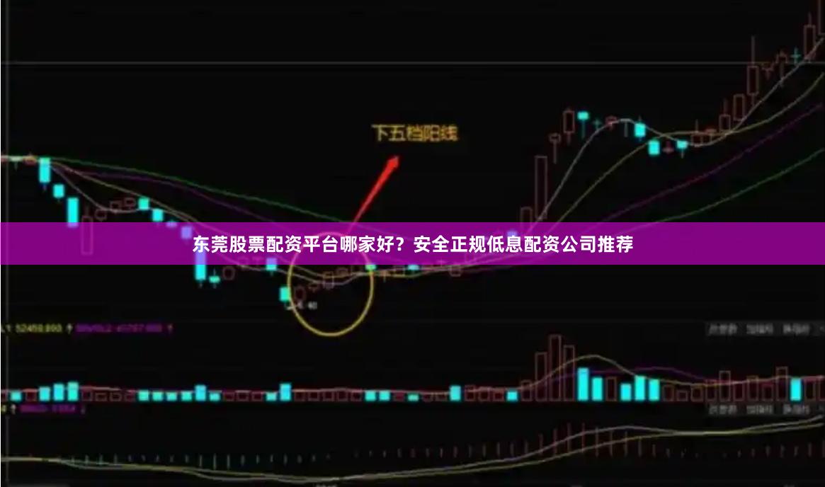 东莞股票配资平台哪家好？安全正规低息配资公司推荐