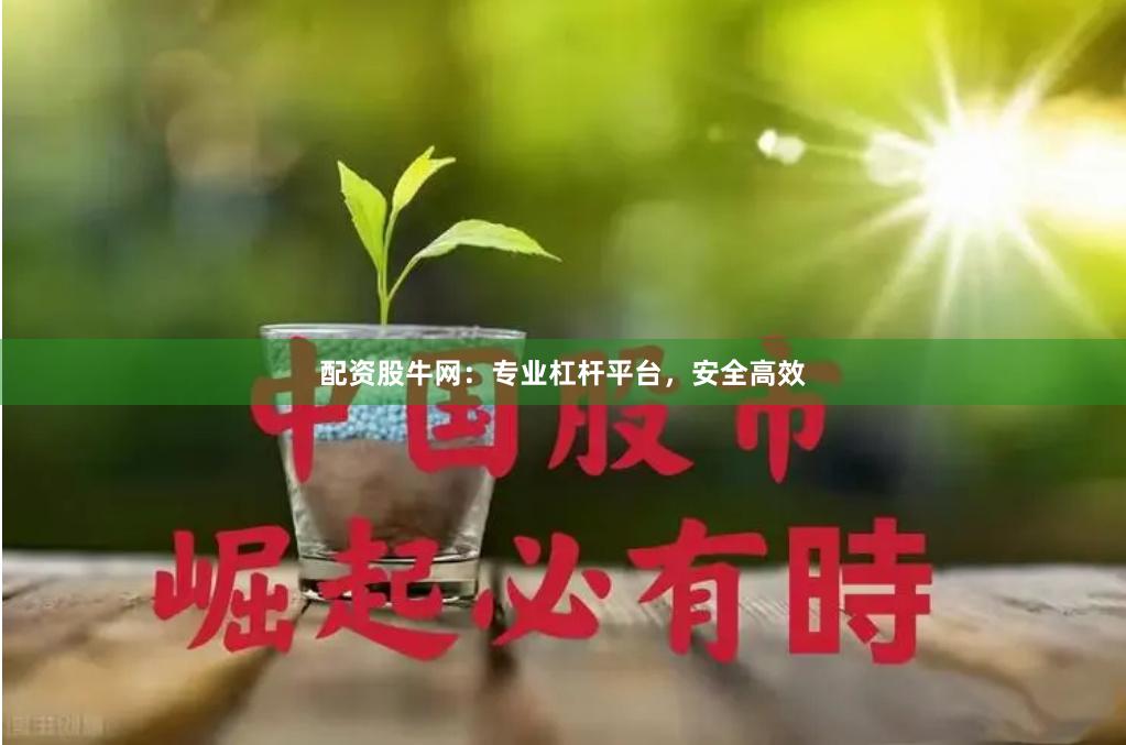 配资股牛网：专业杠杆平台，安全高效