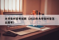 大学生村官考试网（2023年大学生村官怎么报考）