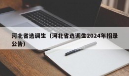 河北省选调生（河北省选调生2024年招录公告）
