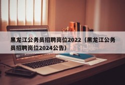 黑龙江公务员招聘岗位2022（黑龙江公务员招聘岗位2024公告）
